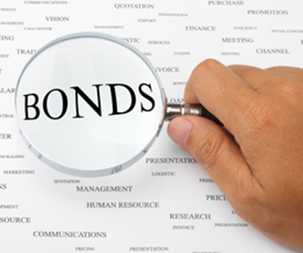 Why You Should Own Long Term Government Bonds