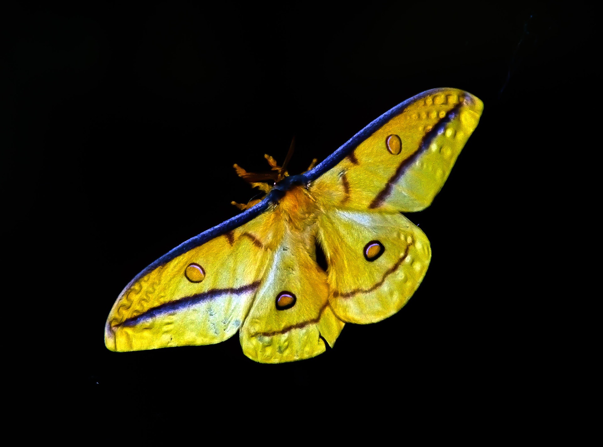 The Golden Butterfly Portfolio
